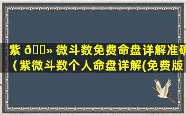 紫 🌻 微斗数免费命盘详解准确（紫微斗数个人命盘详解(免费版)）